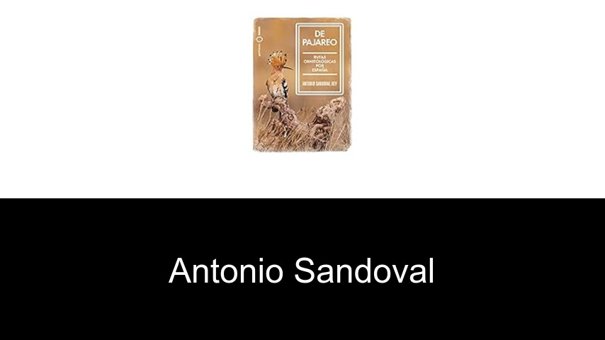 libros de Antonio Sandoval