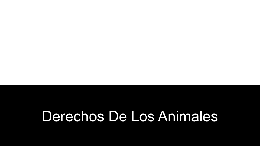 Libros de derechos de los animales